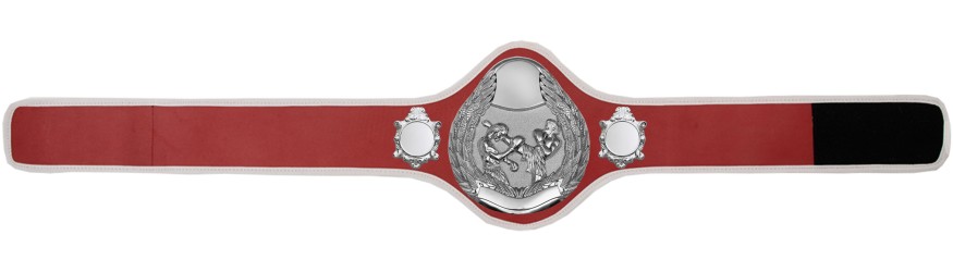 THAI BOXING CHAMPIONSHIP BELT-PRO301/S/TBOS- 10 + COLOURS THAI BOXING CHAMPIONSHIP BELT-PRO301/S/TBOS- 10 + COLOURS
